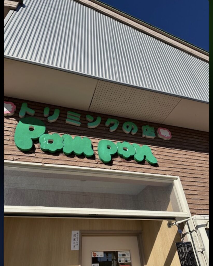 施工前 3